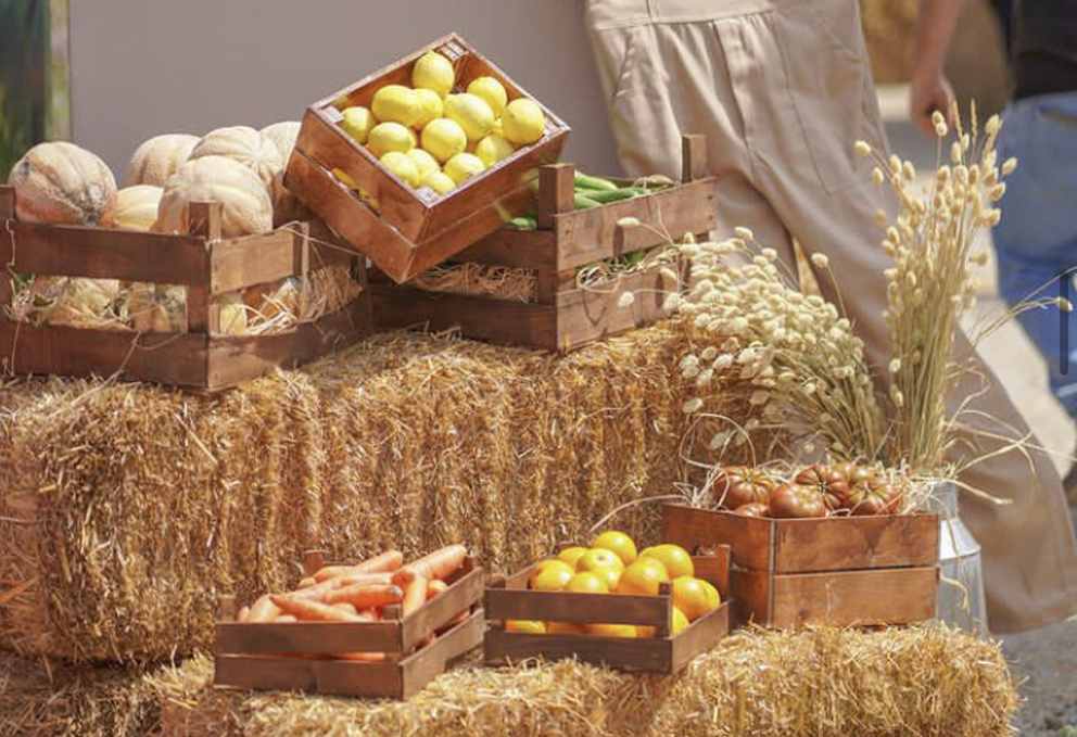 1696254970_YBY_Woods_Dogal_Yasam_Festivali1