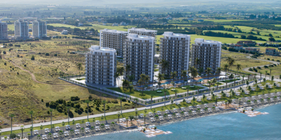 Dedeman Kalitesi Yavru Vatanda