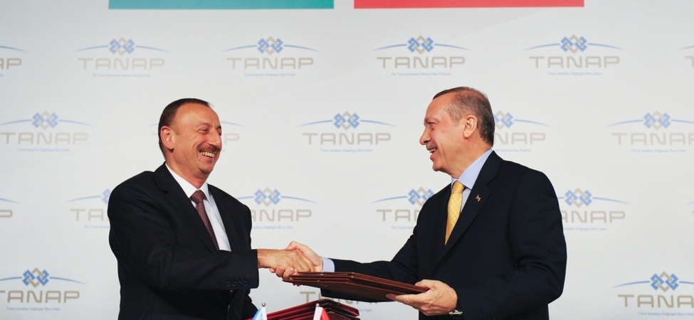 1764489357_TANAP_Acilis_Gorseli