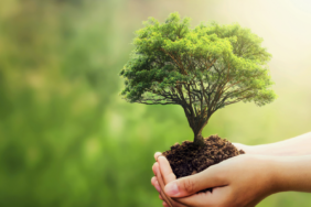 1767080522_jenerik_alternatif_1