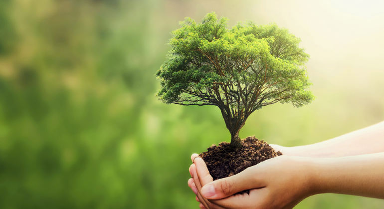 Fuzul’den 2025 çalışanı adına 2025 fidan bağışı