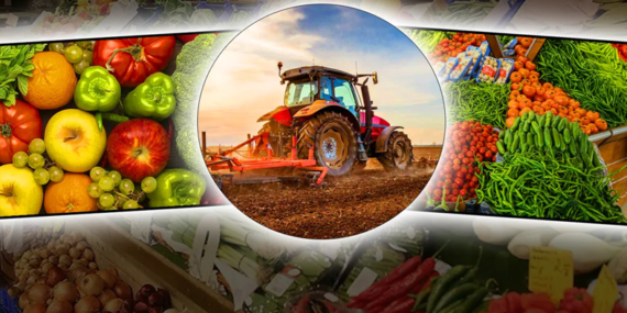 Önümüzdeki 10 Yılda Gıda Talebi %30 Artacak