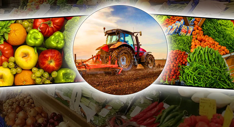 Önümüzdeki 10 Yılda Gıda Talebi %30 Artacak