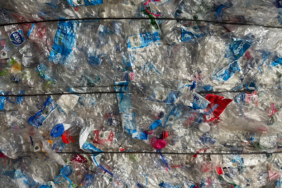 WhatsApp Image 2025-12-16 at 15.19.08 (2)