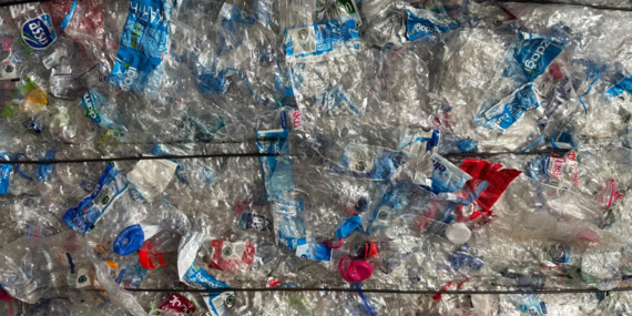 WhatsApp Image 2025-12-16 at 15.19.08 (2)