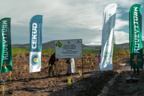 Yeni Proje - 2025-12-06T131645.559