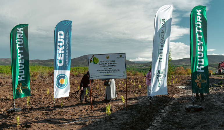 Yeni Proje - 2025-12-06T131645.559