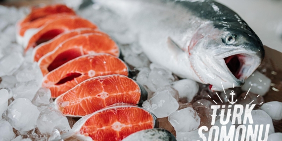 Türk Su Ürünleri İhracatı 4 Milyar Dolara Ulaştı