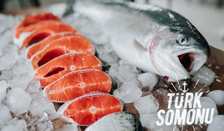 Türk Su Ürünleri İhracatı 4 Milyar Dolara Ulaştı