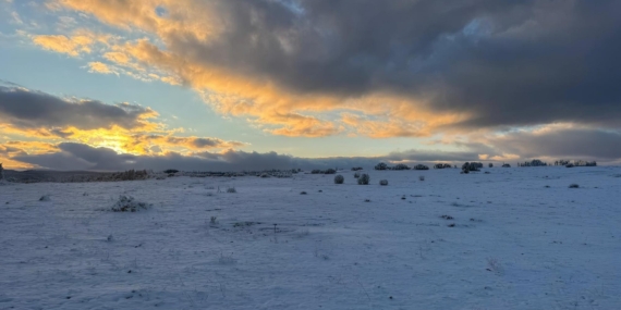 Çimsa’dan Stratejik Vazgeçiş: 80 Yıllık Rezervden Feragat Kararı