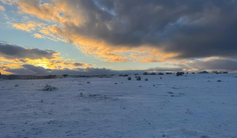 Çimsa’dan Stratejik Vazgeçiş: 80 Yıllık Rezervden Feragat Kararı