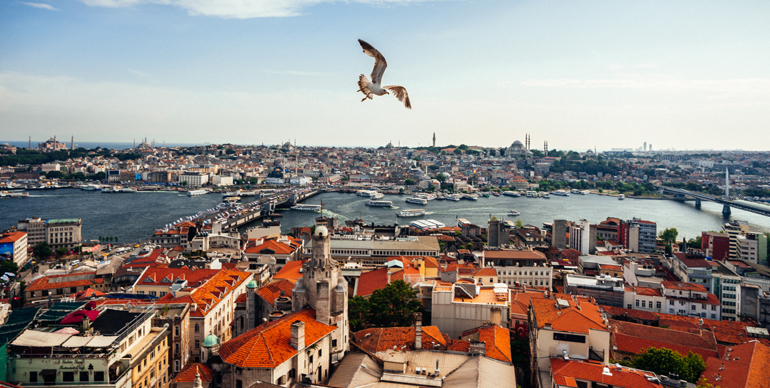 Yatırımcı Alımdan Çekildi, Oturum Amaçlı Alıcılar Sahada