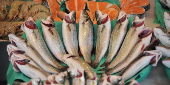 Balık İhracatı Zirve Yaptı: 2026 Ocak’ta Yüzde 36’lık Büyüme