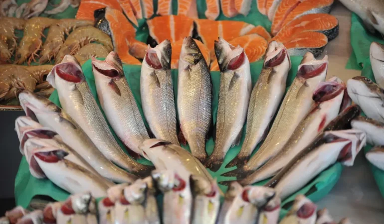 Balık İhracatı Zirve Yaptı: 2026 Ocak’ta Yüzde 36’lık Büyüme