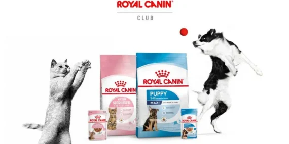 Royal Canin Club’da Kampanya: Üyelere Kişiselleştirilmiş Beslenme ve İndirimler