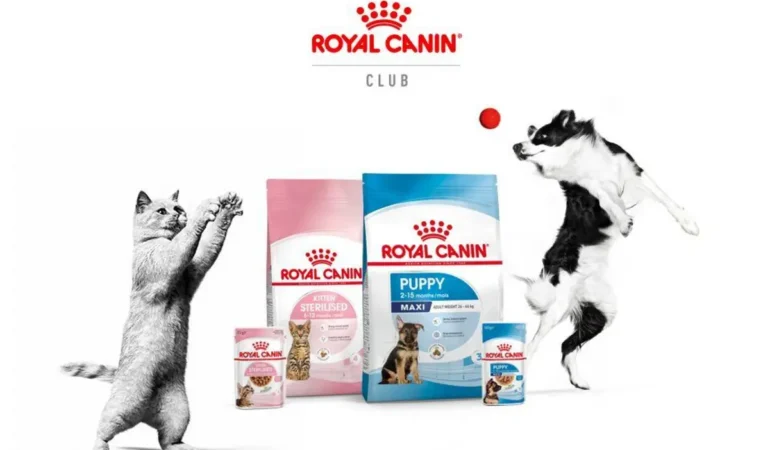 Royal Canin Club’da Kampanya: Üyelere Kişiselleştirilmiş Beslenme ve İndirimler