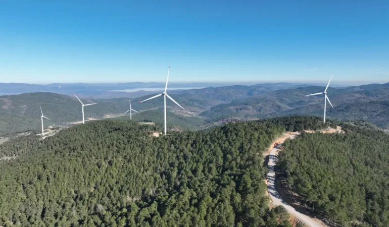Enerjisa Rüzgârda 1.000 MW Barajını Aştı: Sektörde Kartlar Yeniden Dağıtılıyor