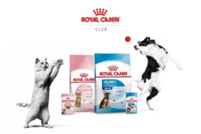 Evcil Hayvan Sahiplerine Müjde: Royal Canin’den Kişiselleştirilmiş Beslenme ve Özel Kampanya