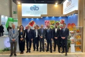 Yaş Meyve Sebze İhracatı: 2026’da Kritik Eşiğe Yaklaşılıyor