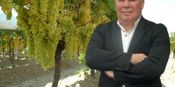 Saki İçecek Grubu: Sözleşmeli Tarımda Kalite ve Süreklilik Sağlıyor