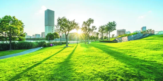 Legrand’dan Sürdürülebilirlik Hamlesi: Hedef %50