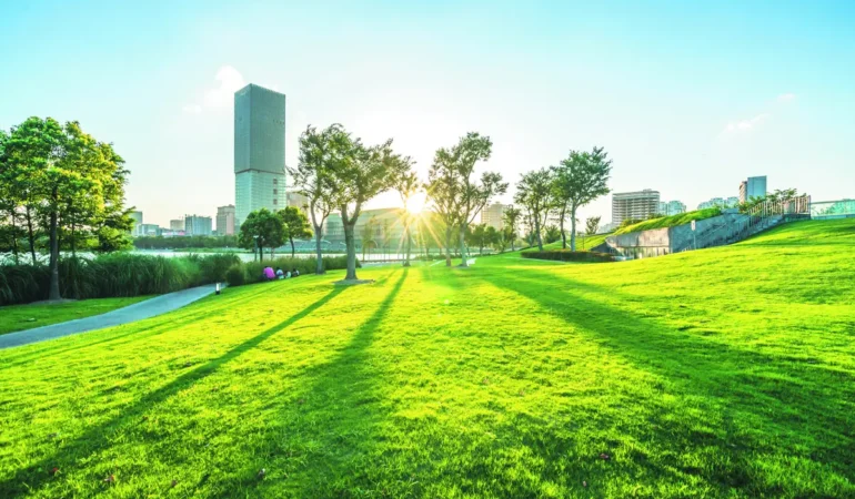 Legrand’dan Sürdürülebilirlik Hamlesi: Hedef %50