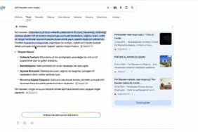 Google Türkiye'de Düğmeye Bastı: Arama Artık Eskisi Gibi Olmayacak