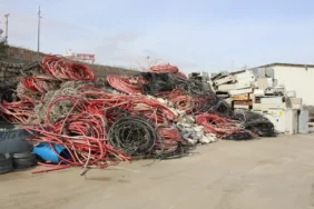 Dicle Elektrik’ten Sürdürülebilir Enerjide Zirve