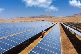 Yeni Hedefler: Sektör Liderliğine Bir Adım Daha