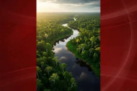 Yeşil Dönüşüm İçin Dev Adım!