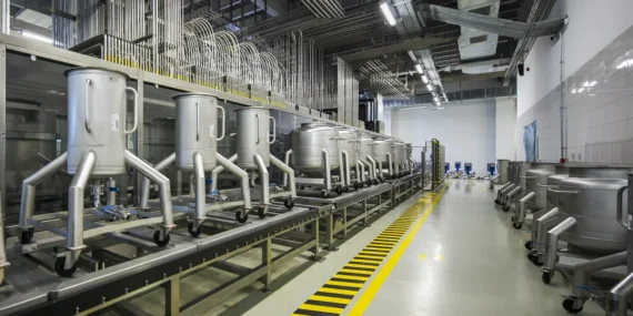 Ekonomik Zorluklara Rağmen Büyüme