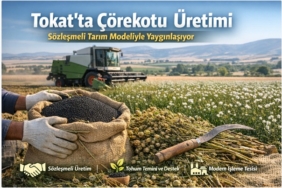 WhatsApp Image 2026-03-04 at 15.06.43