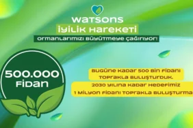 Yarım Milyon Fidanın Ardındaki Güçlü İttifak