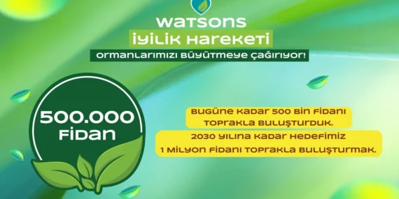 Yarım Milyon Fidanın Ardındaki Güçlü İttifak