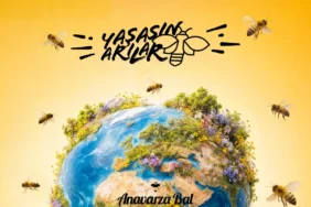 Sürpriz Bir Adım: Arılar İçin Yeni Departman