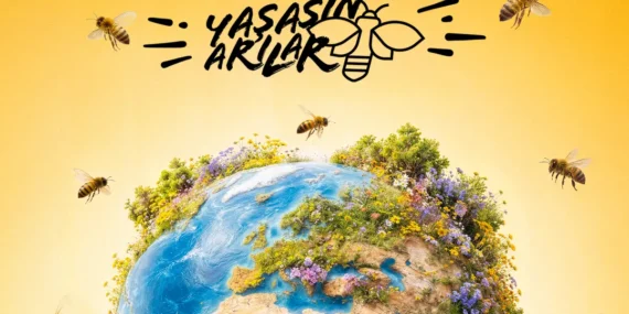 Sürpriz Bir Adım: Arılar İçin Yeni Departman