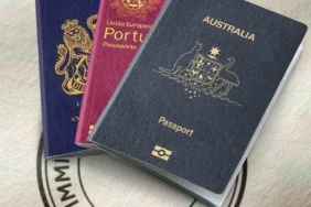 Eğitim ve Kazançta Zirveye Çıkın