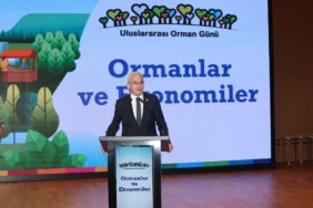 Türkiye’nin Fidan Hedefinde Büyük Adım