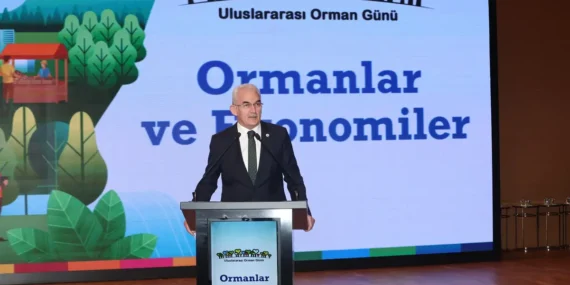 Türkiye’nin Fidan Hedefinde Büyük Adım