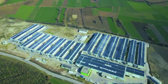 Keskinoğlu'ndan Çevresel Başarı Hamlesi