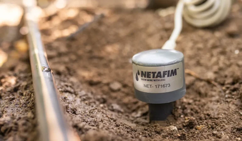 Su Planı İle Tarımda Büyük Değişim