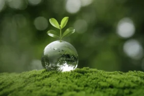 Zorlu Enerji, Uluslararası Zirvede Öne Çıkıyor