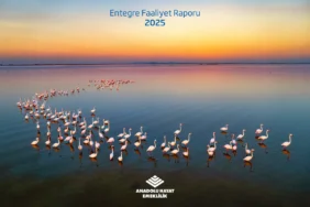 Global Standartlarda Raporlama Atağı