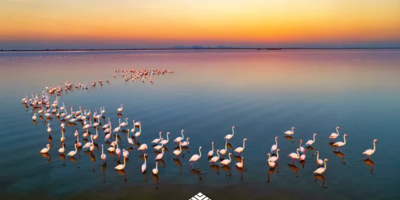 Global Standartlarda Raporlama Atağı