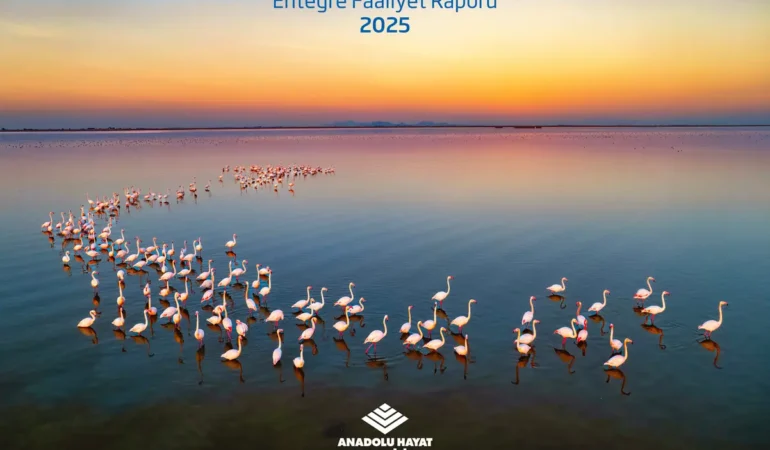 Global Standartlarda Raporlama Atağı