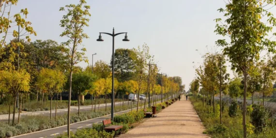 Ayamama Projesine Prestij Yolculuğu