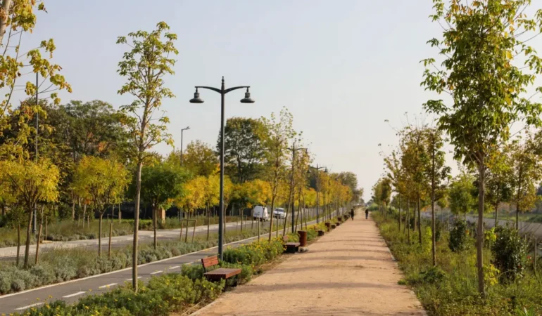 Ayamama Projesine Prestij Yolculuğu