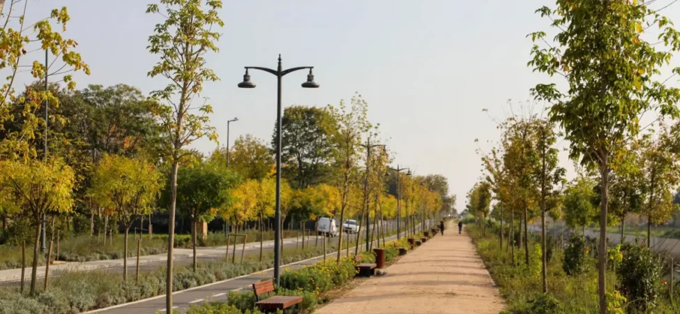 Ayamama Projesine Prestij Yolculuğu