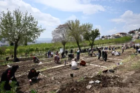 İzmir’de İklim Projesiyle Dengeler Değişiyor