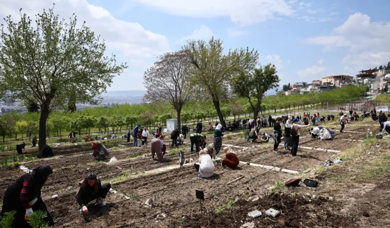 İzmir’de İklim Projesiyle Dengeler Değişiyor
